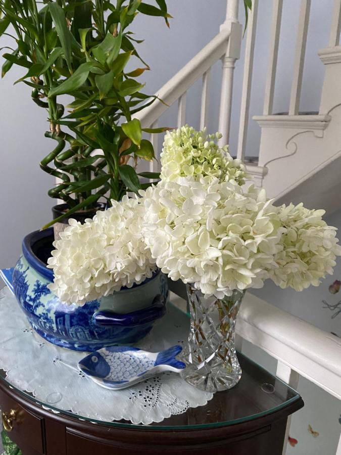 Northey Street House Bed & Breakfast Salem Eksteriør bilde